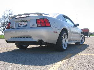 Mustang 020.jpg